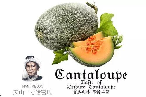 娱乐吃瓜设计理念是什么,揭秘娱乐圈幕后故事，带你领略趣味横生的娱乐圈生态