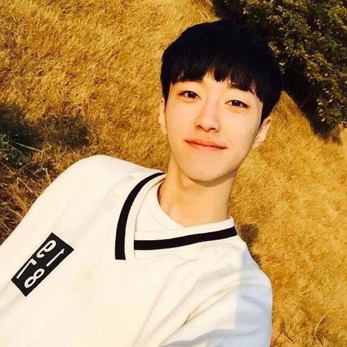 娱乐吃瓜酱阳光大男孩,揭秘娱乐圈的甜蜜瓜果