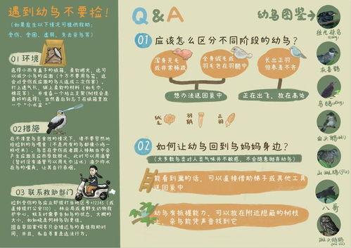 吃瓜网每日大赛往期内容,回顾往期精彩瞬间，揭秘热门选手幕后故事