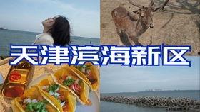 娱乐吃瓜酱自驾游