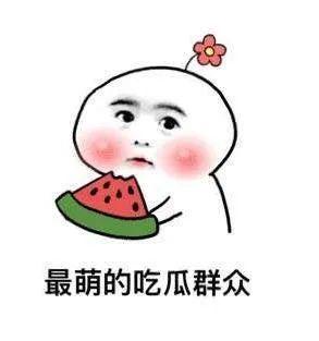 娱乐圈吃瓜明星沙雕动漫,沙雕明星与爆笑动漫的跨界狂欢