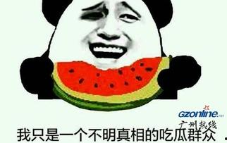 吃瓜群众指什么意思